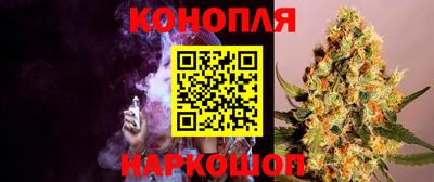 прущие грибы Севастополь