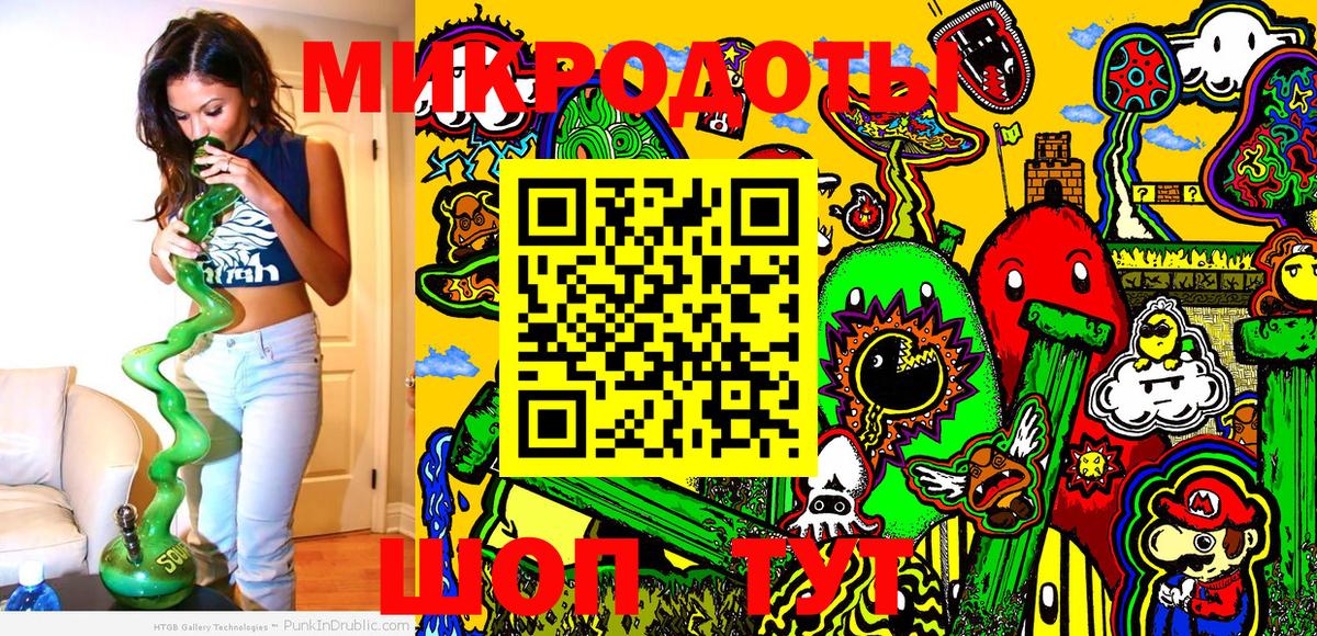 Галлюциногенные грибы Psilocybine cubensis Новокуйбышевск