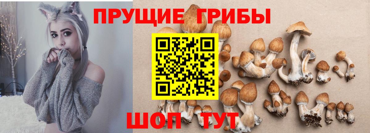 Новокуйбышевск  Галлюциногенные грибы GOLDEN TEACHER  Вход с VPN 